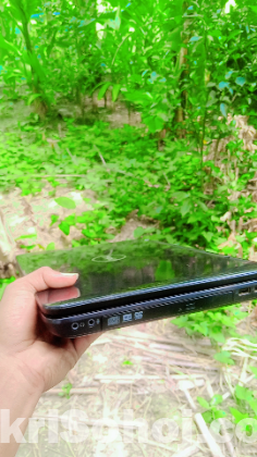 DELL